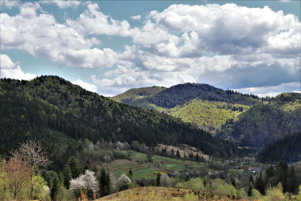 Photograph by Андрей Телибаев