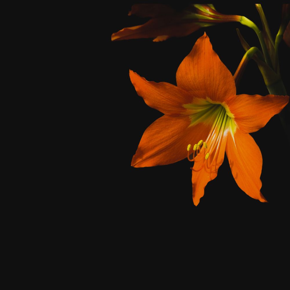 Photograph by Wilvia Dsouza