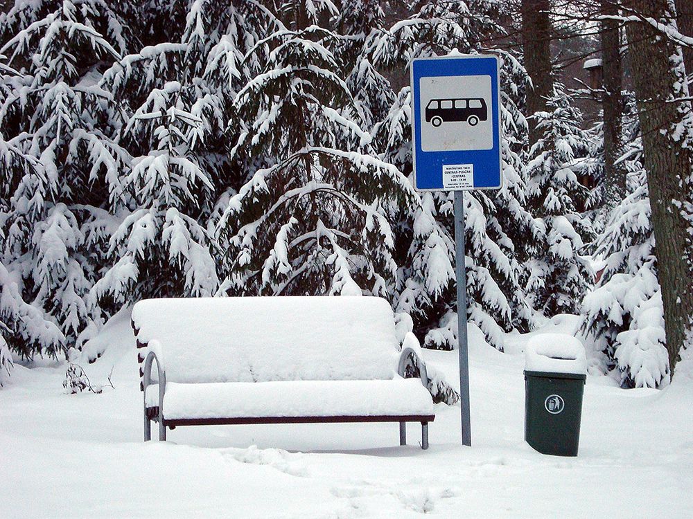 Photograph by Андрей Перминов