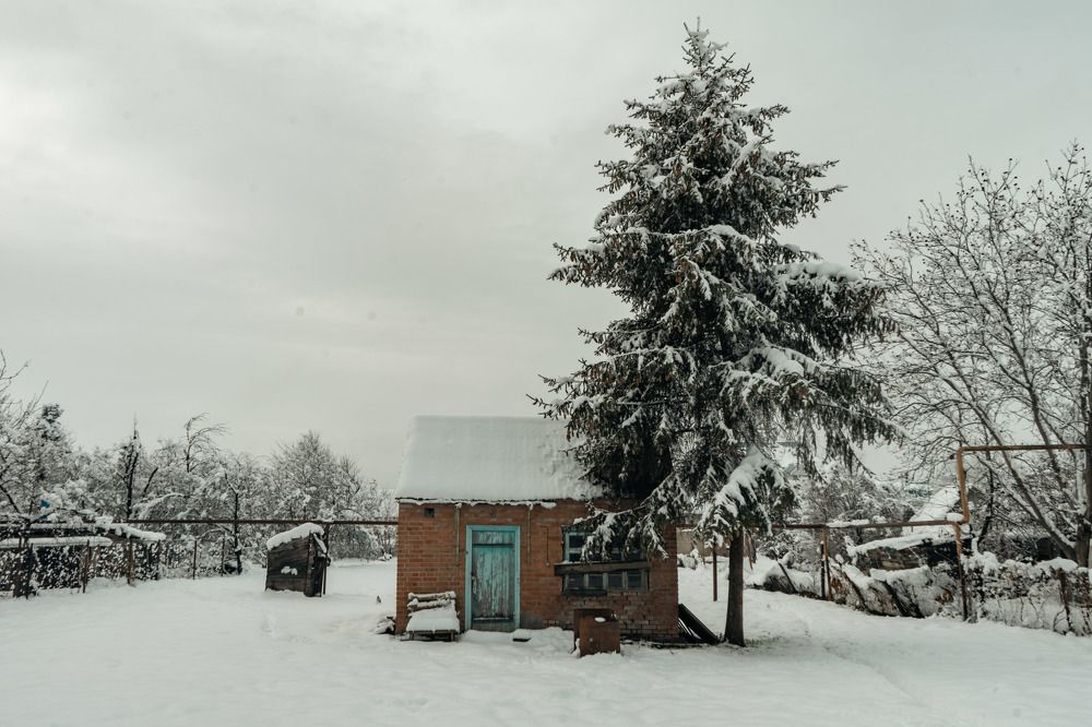 Январский Краснодар.