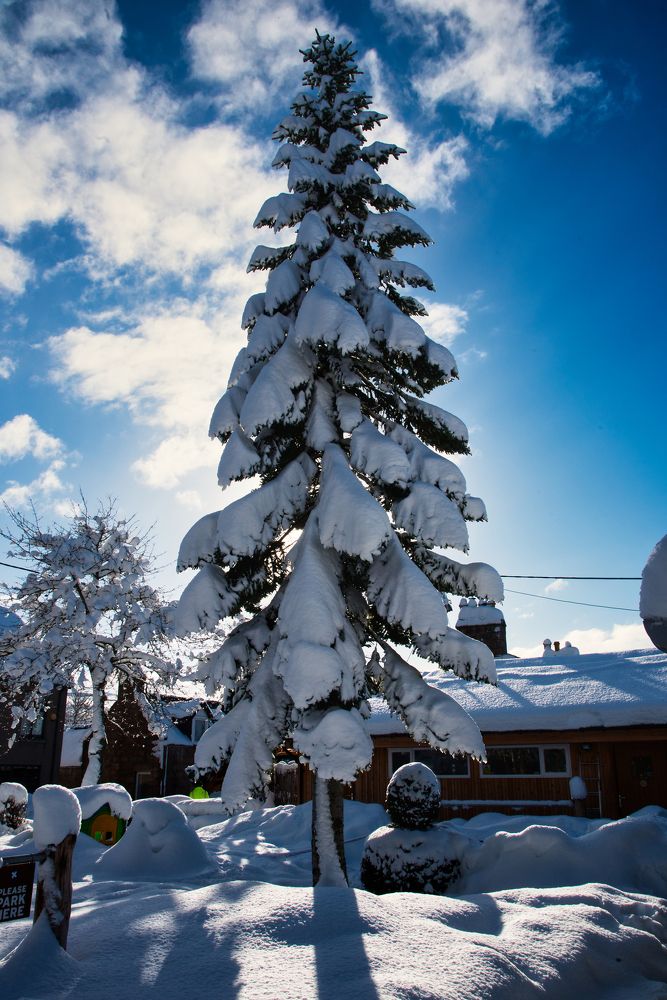 Photograph by Aleksandr Jefimov