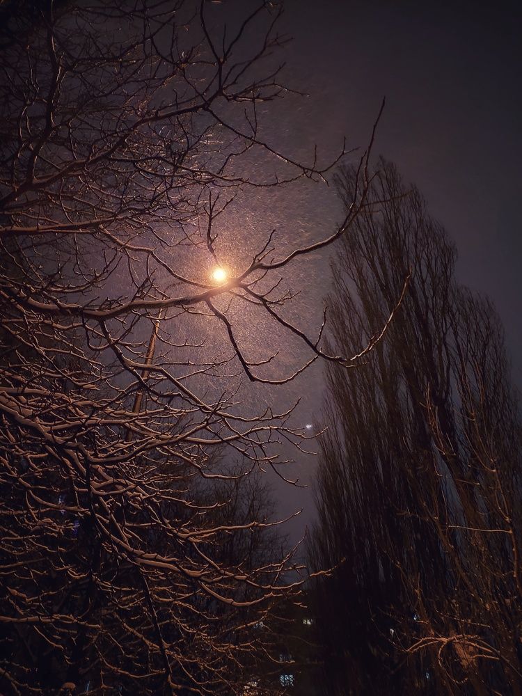 Photograph by Екатерина Кваша