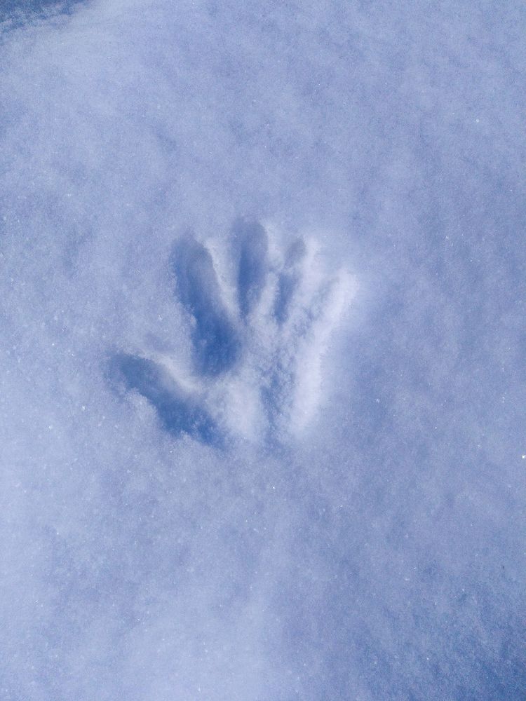 Photograph by Денис Геранькин