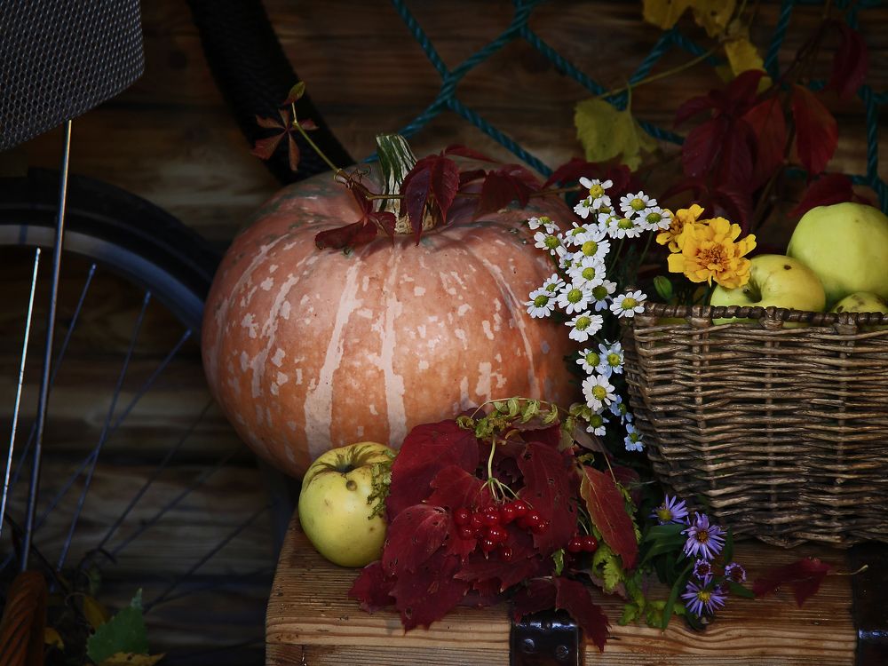 Осенний урожай. Натюрморт с тыквой.