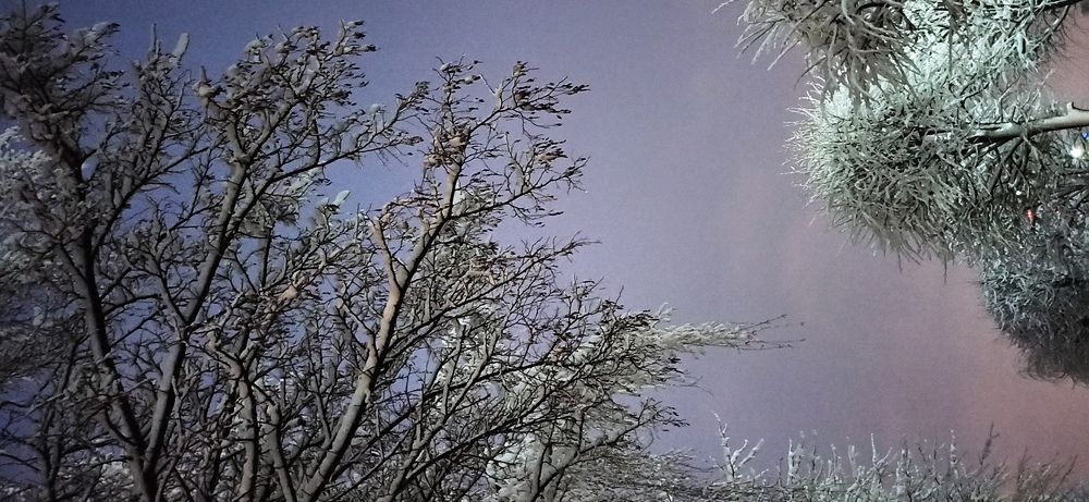 Photograph by Артур Протасевич