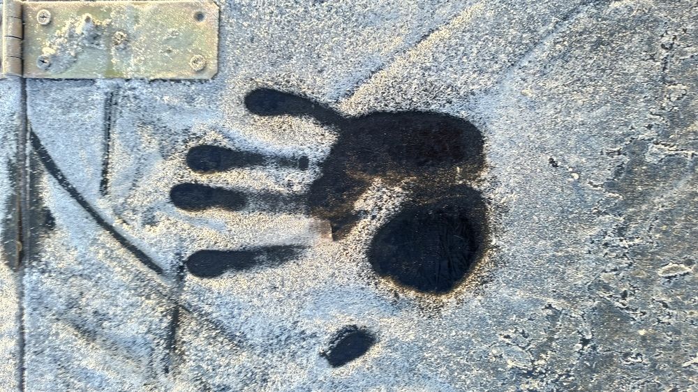 Photograph by Артур Протасевич