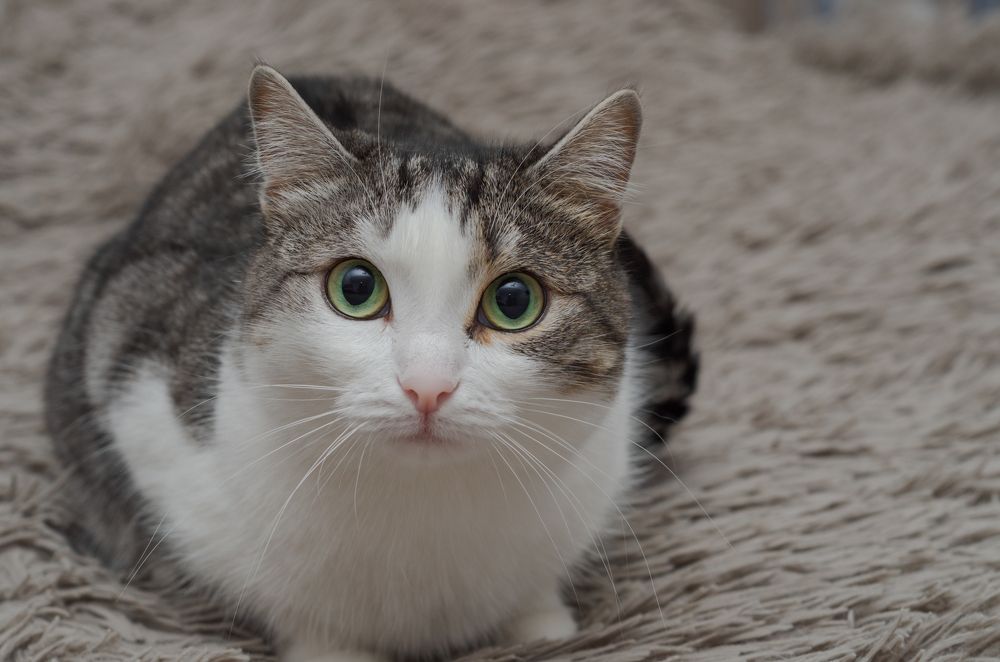 Photograph by Дмитрий Долгих