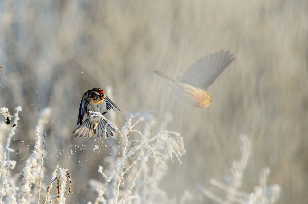 Photograph by Сергей Торхов
