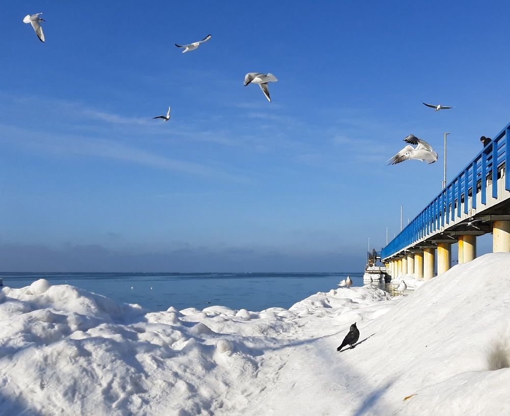 Photograph by Екатерина