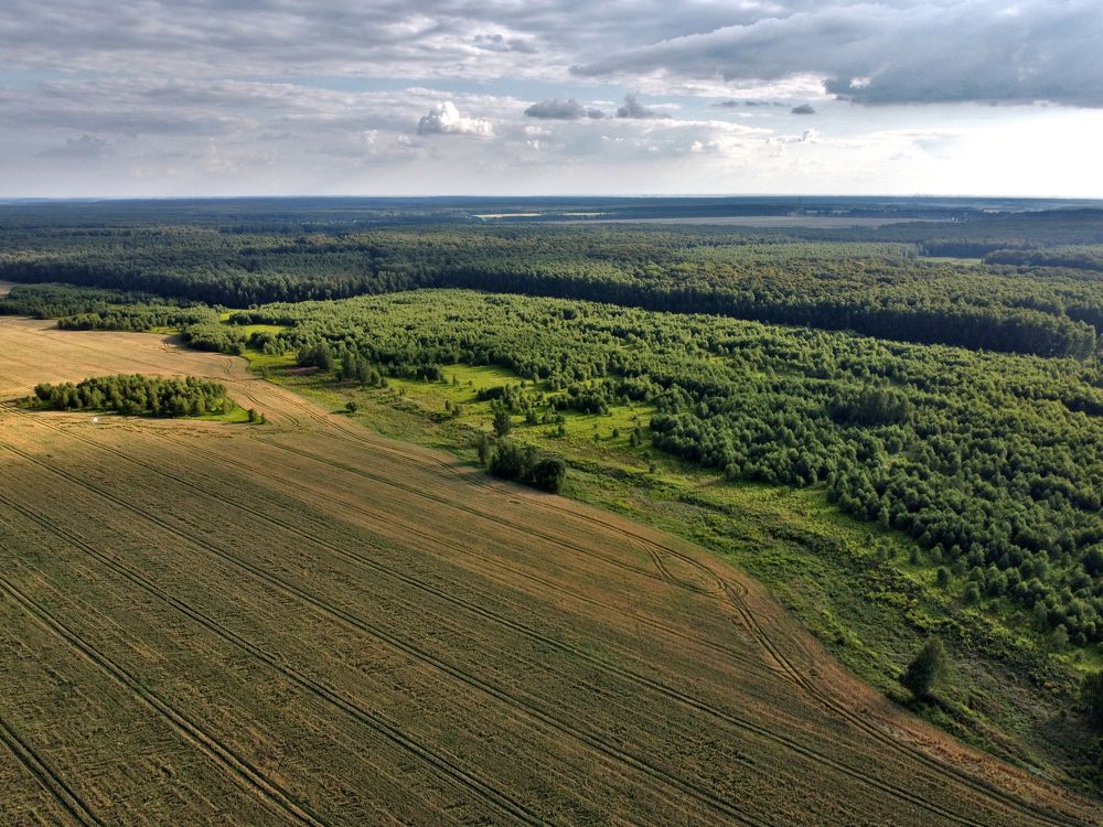 Photograph by Serge S. Pashintsev