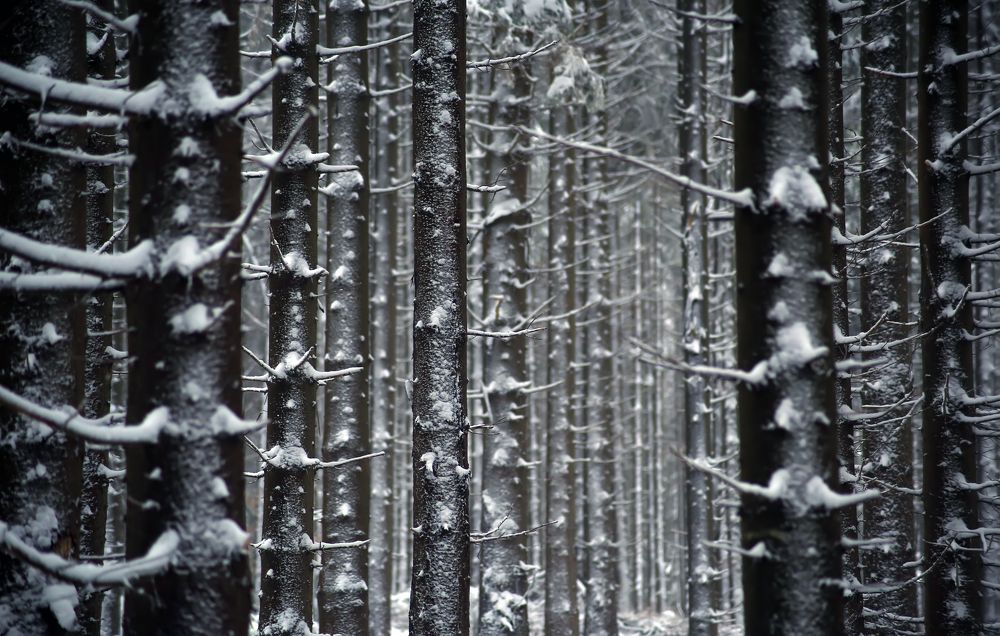 Photograph by Ralitsa Byalkova