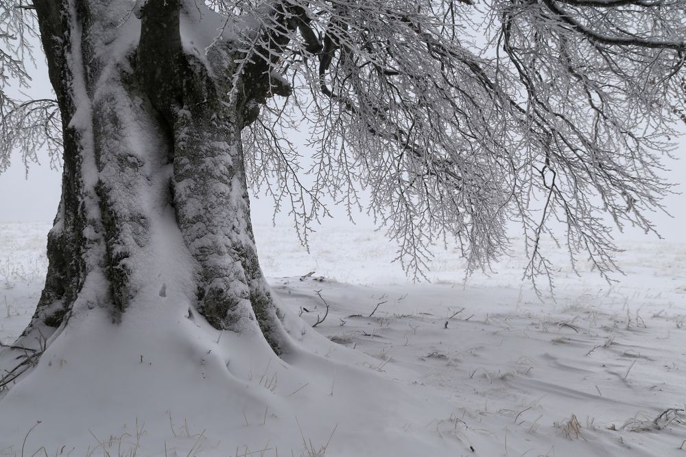 Photograph by Ralitsa Byalkova