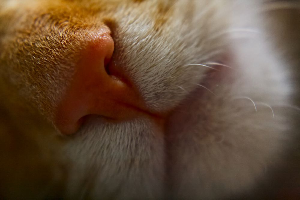 Photograph by Евгений Козлов