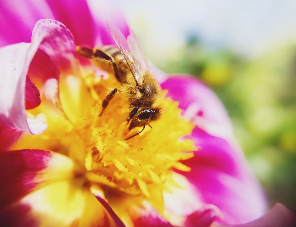 Photograph by Алсу Исмагилова