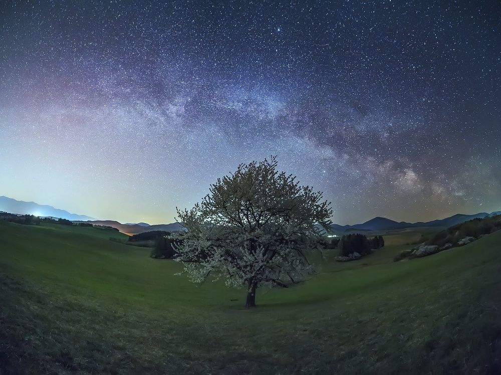 Photograph by Radim Ziman