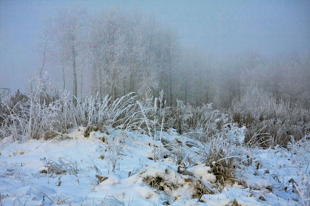 Photograph by Лариса Максименко