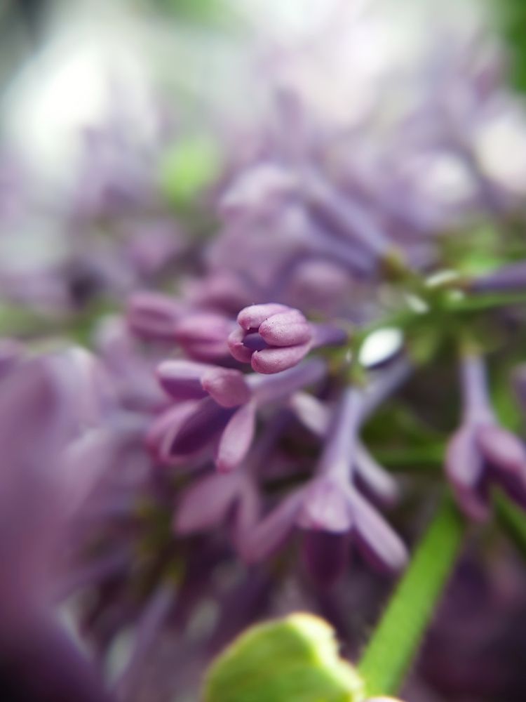 Photograph by Алсу Исмагилова