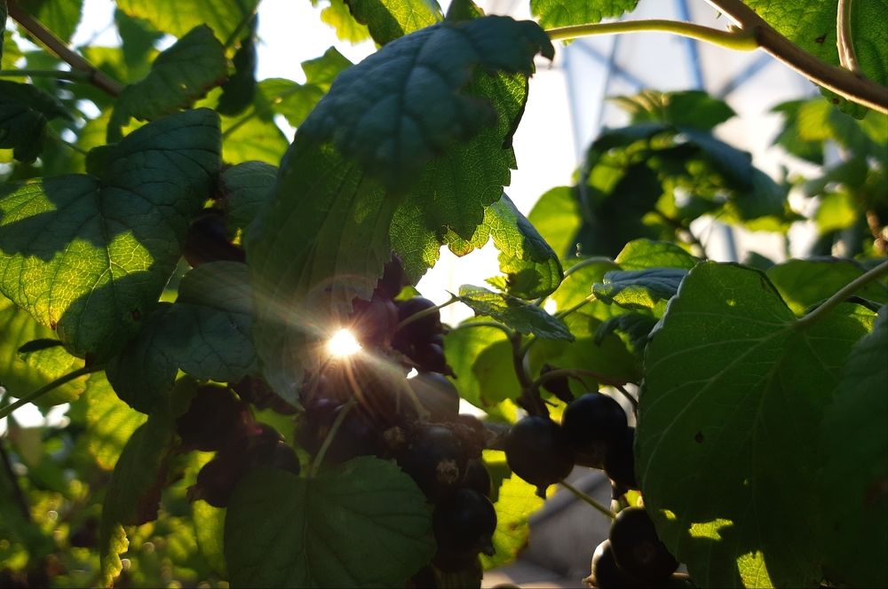 Photograph by Алсу Исмагилова