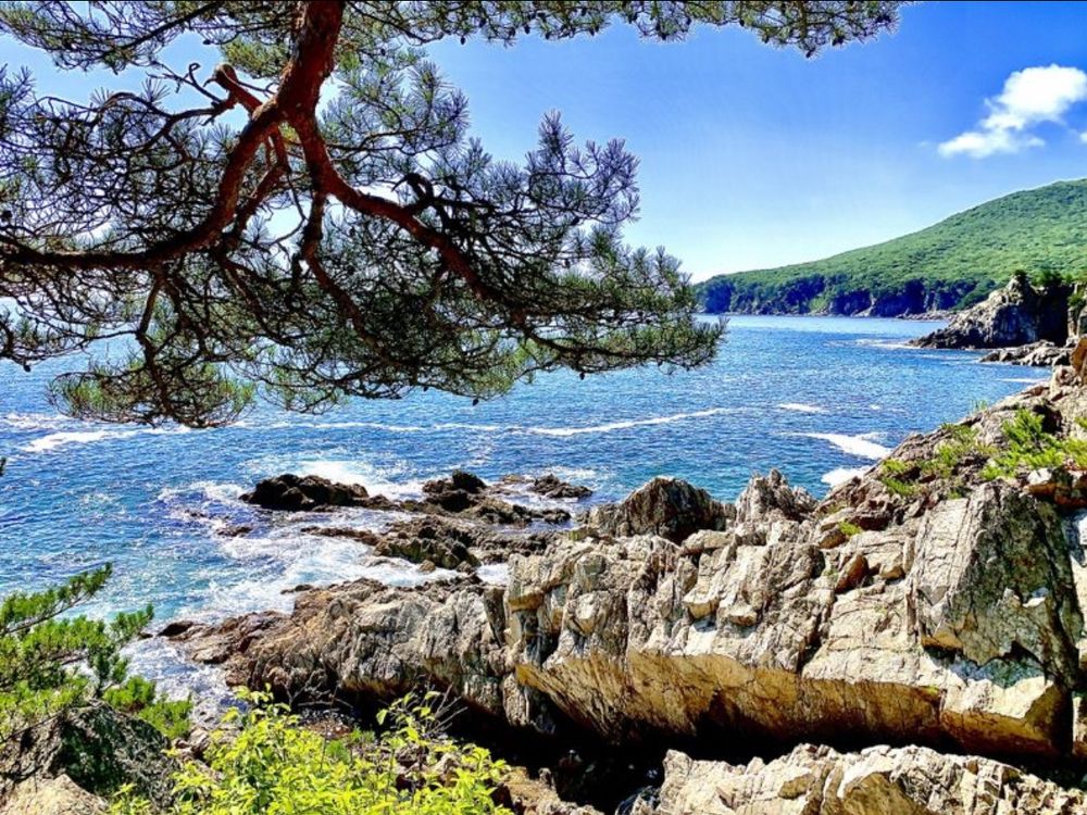 Photograph by SergioSteel