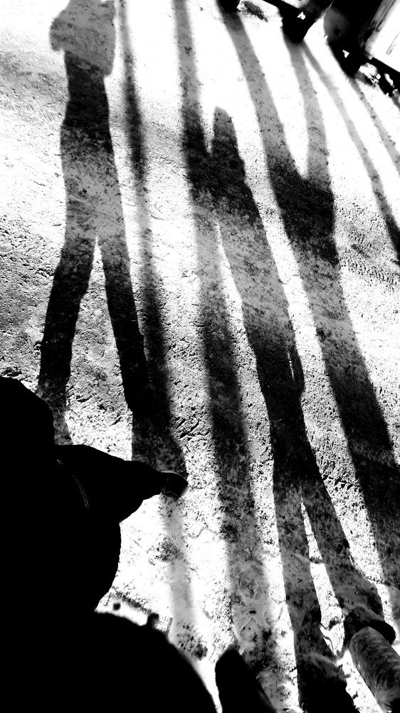 Photograph by Венера Гайнутдинова