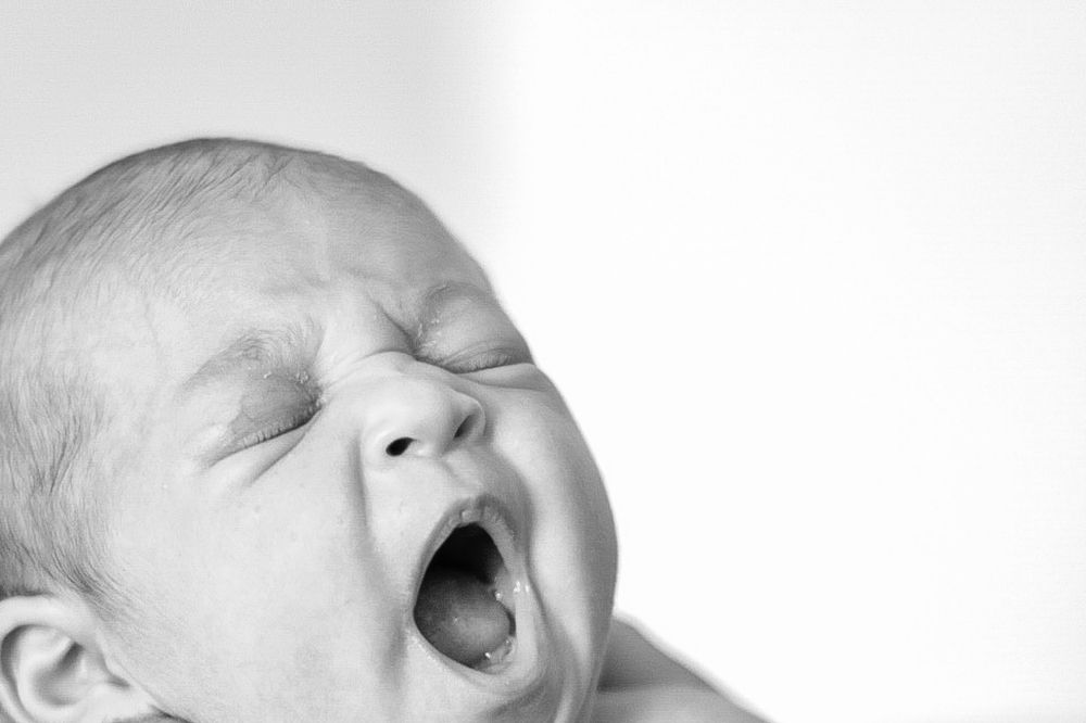 Photograph by Sabrina da Paz