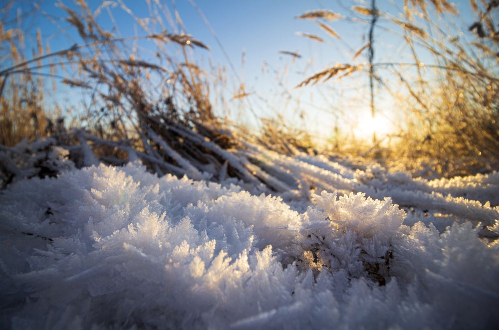 Photograph by Илья Левкович