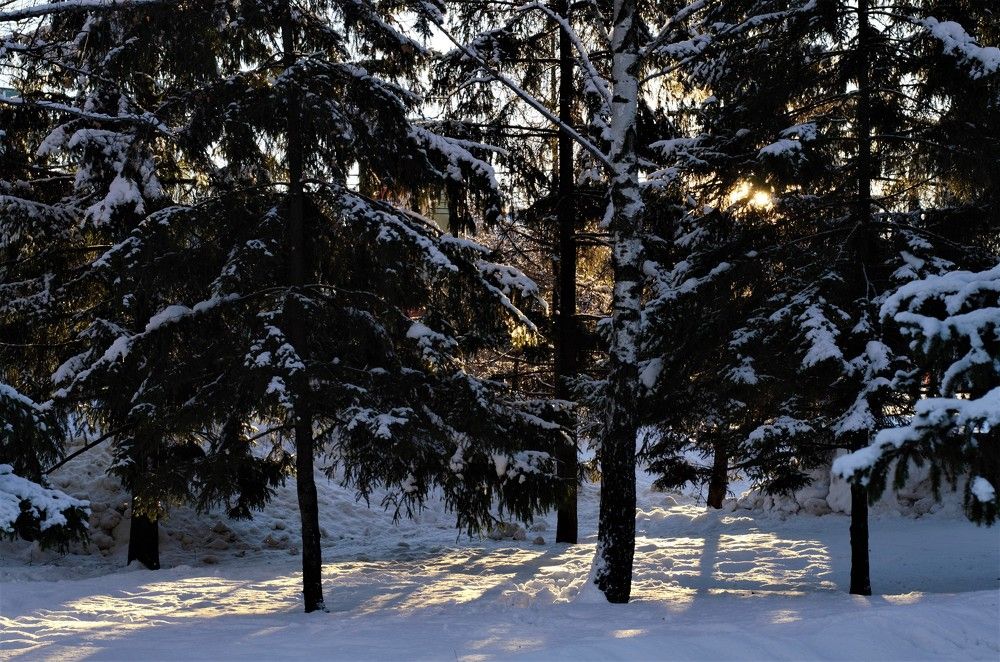 Photograph by Елена Коптева