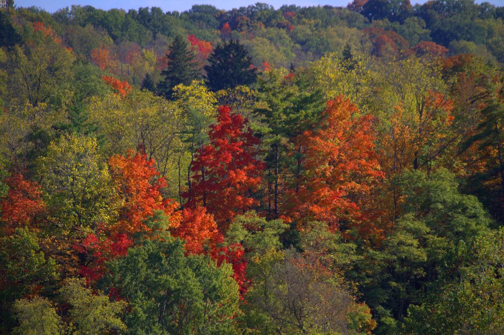 Photograph by Art Bisschop