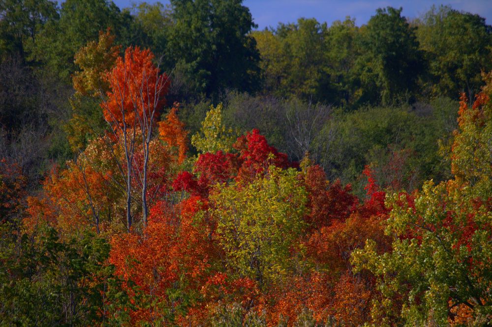 Photograph by Art Bisschop