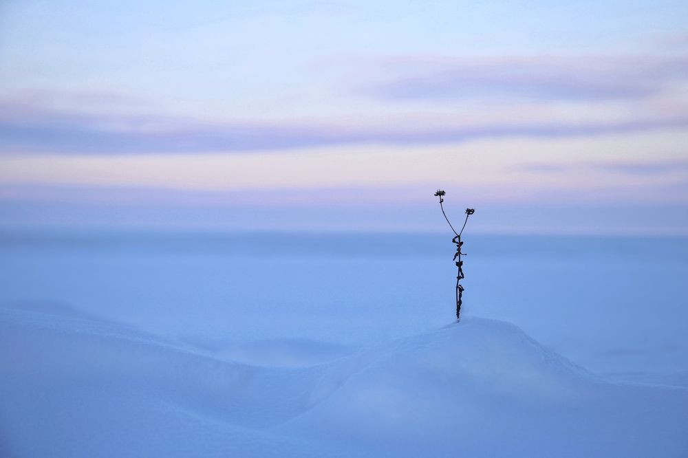 Photograph by Ирина Шумкова