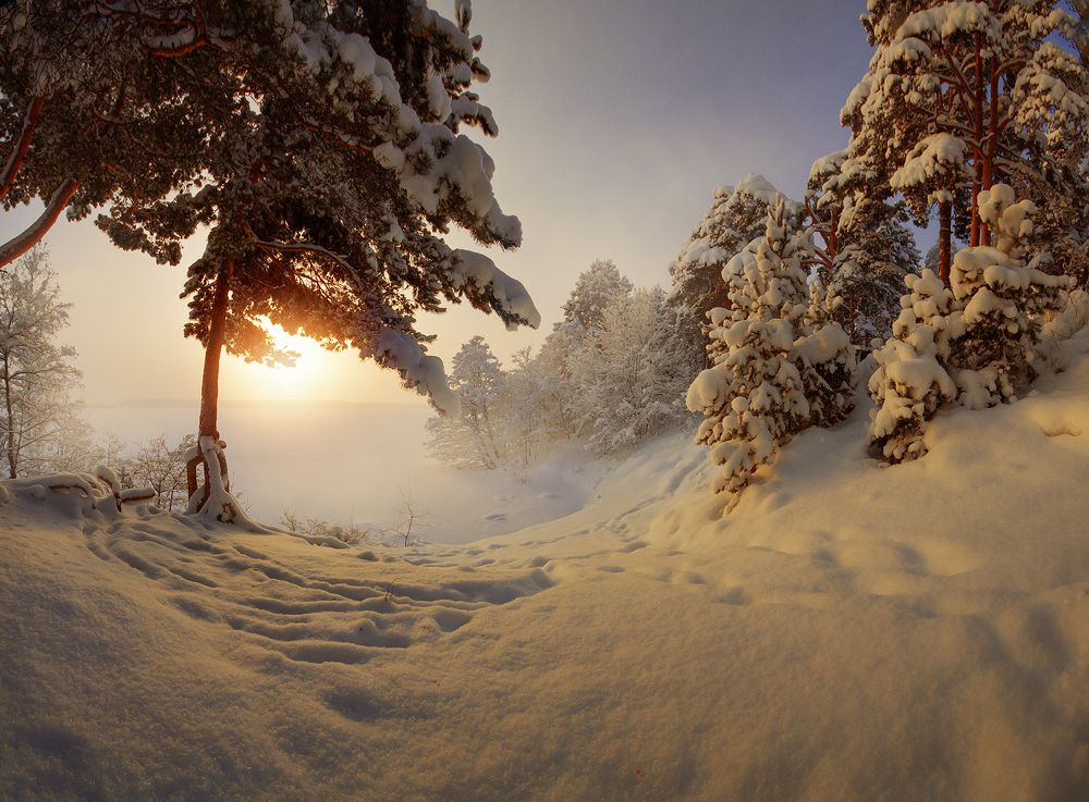 Утро доброе...