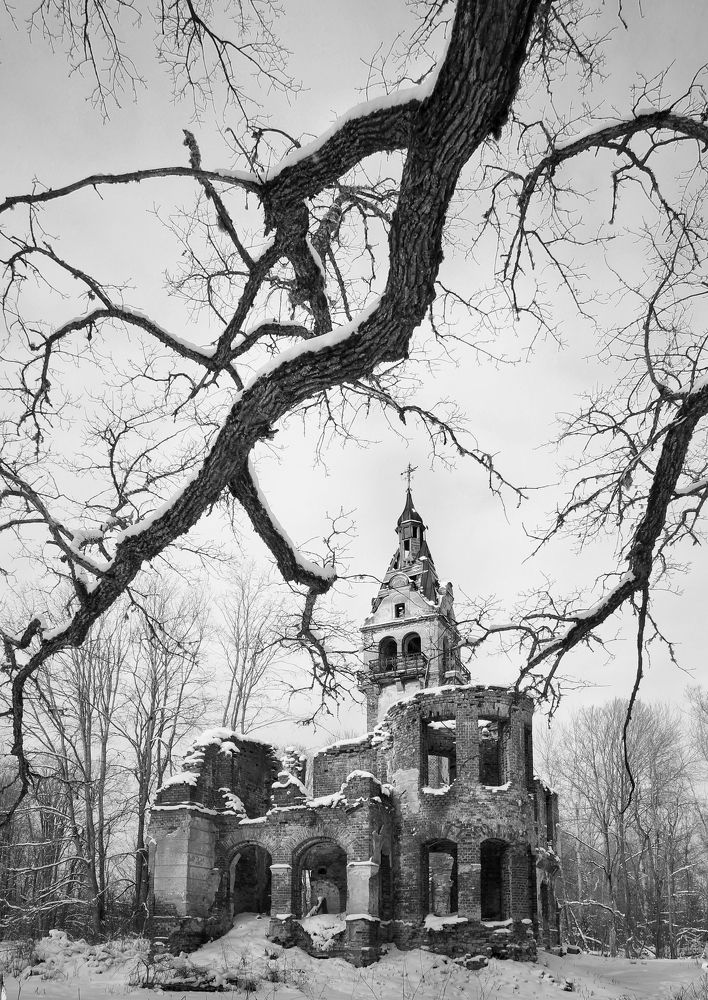 Photograph by Ирина Шумкова