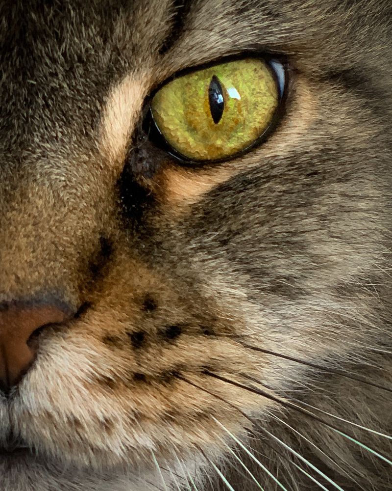 Photograph by Дмитрий Кравцов