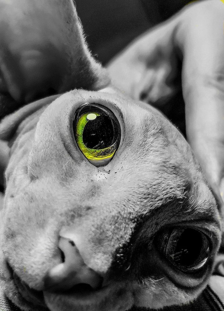 Photograph by Николай