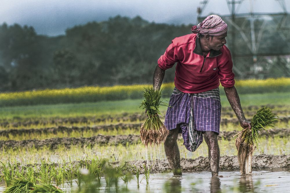 Photograph by Abdullah Mamun
