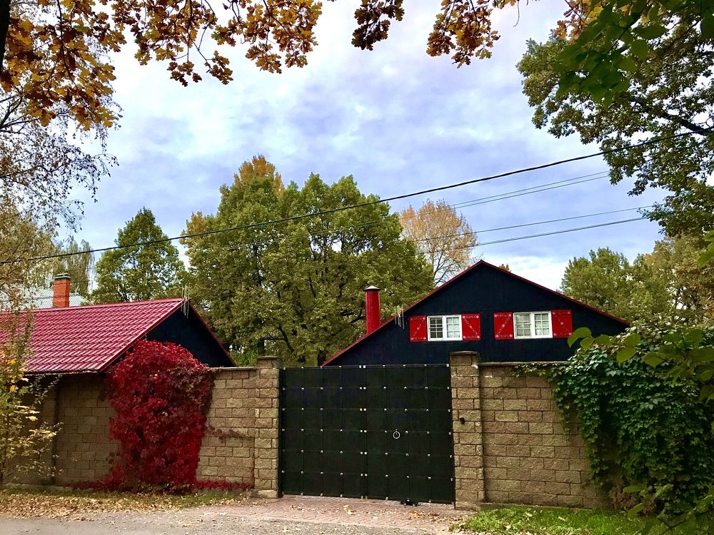 Палитра осени