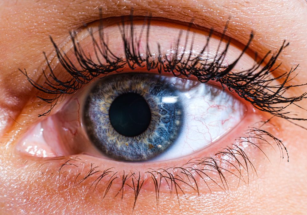 Фотография автора Алеся Кубаткина