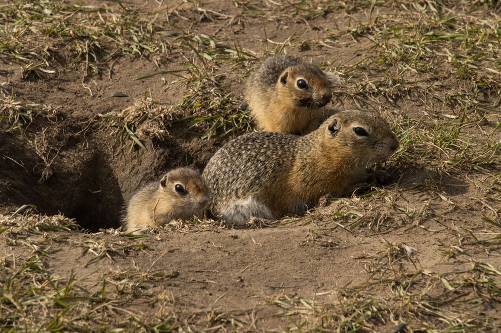 Photograph by Петр Землянухин