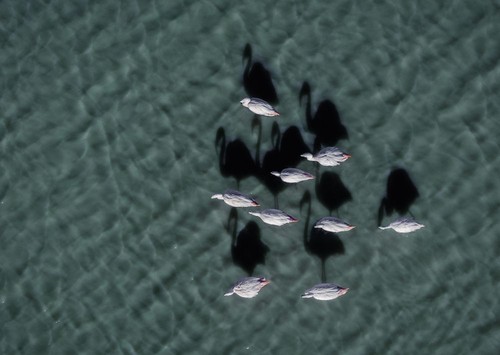 Photograph by Diego Agustín Cabanas