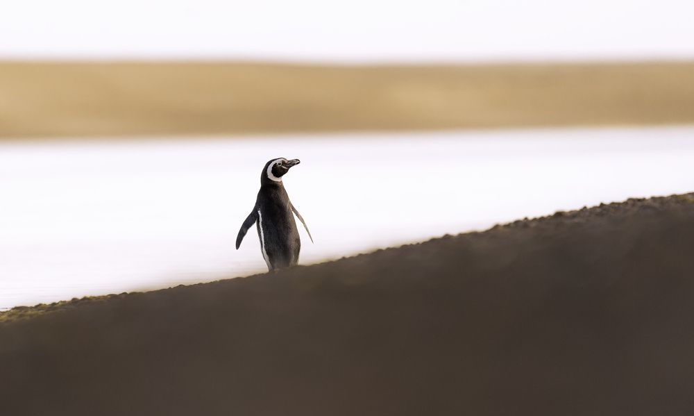 Photograph by Diego Agustín Cabanas