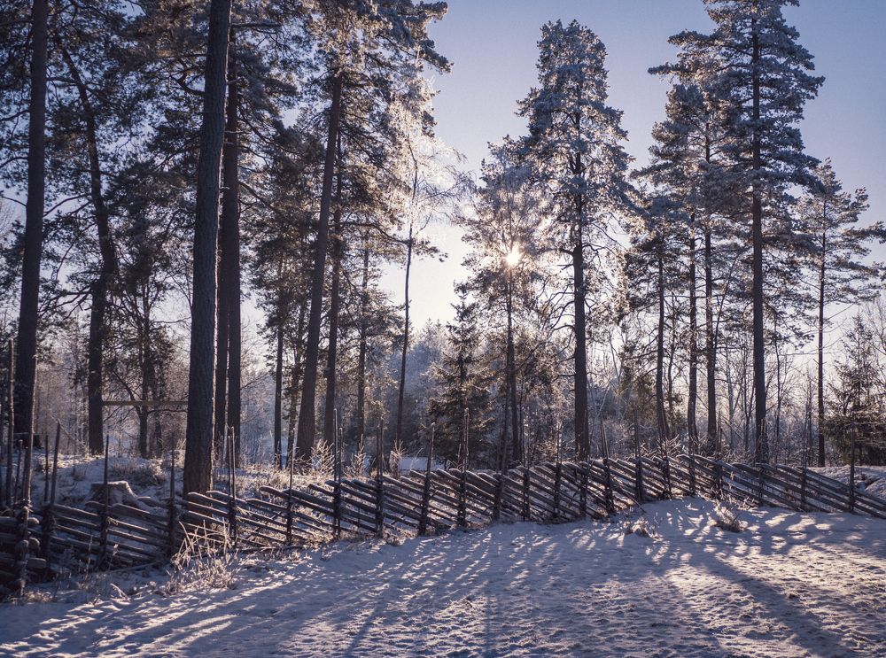 Photograph by Olga Bakke