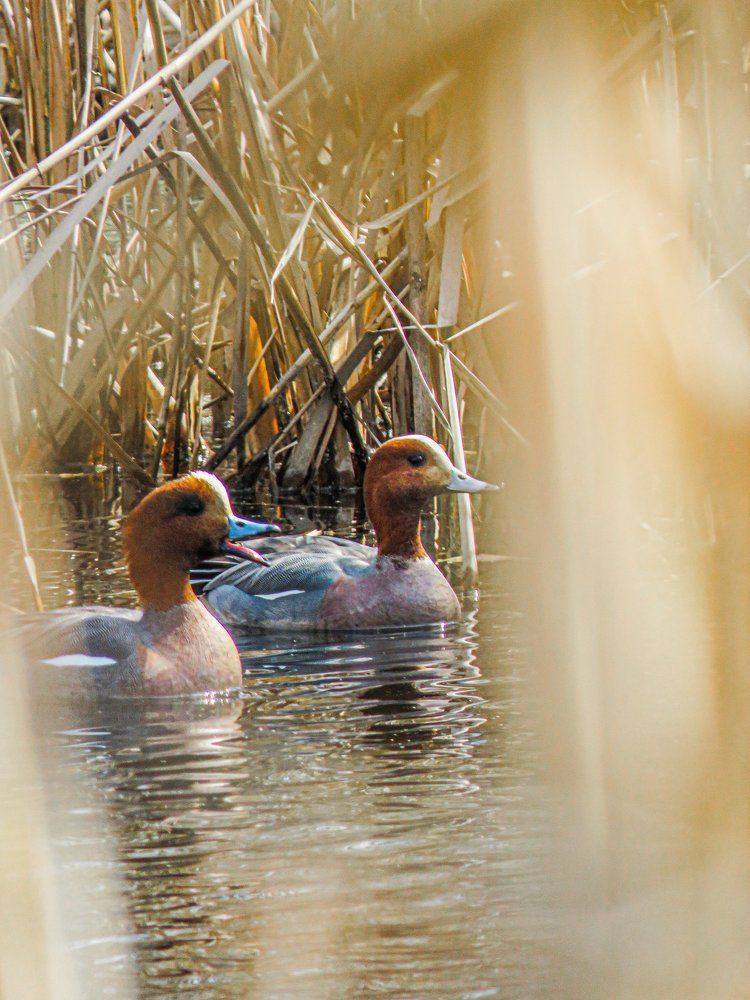Photo #5932316