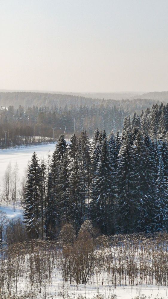 Photograph by Сергей Чудов