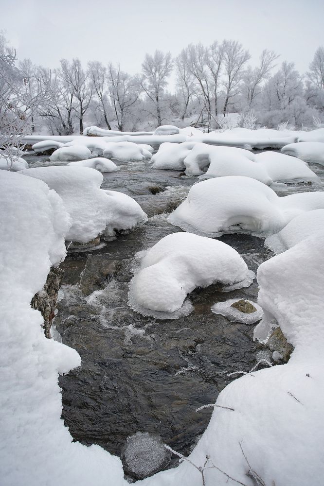 Photograph by Тамара Андреева