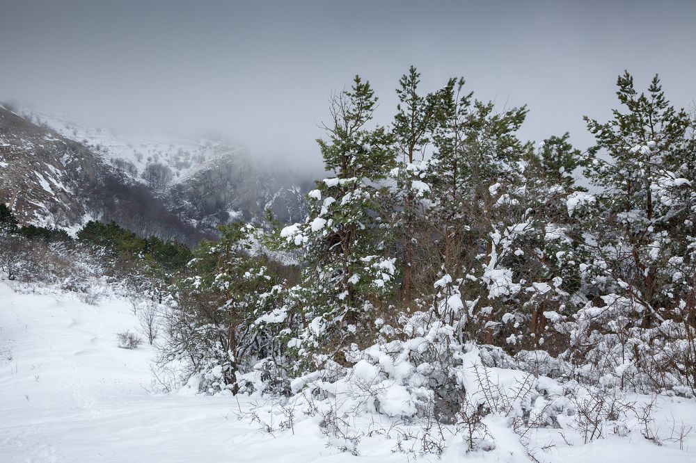 Photograph by Елена Покрепа