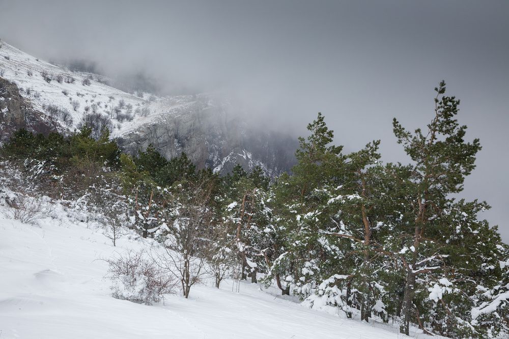 Photograph by Елена Покрепа