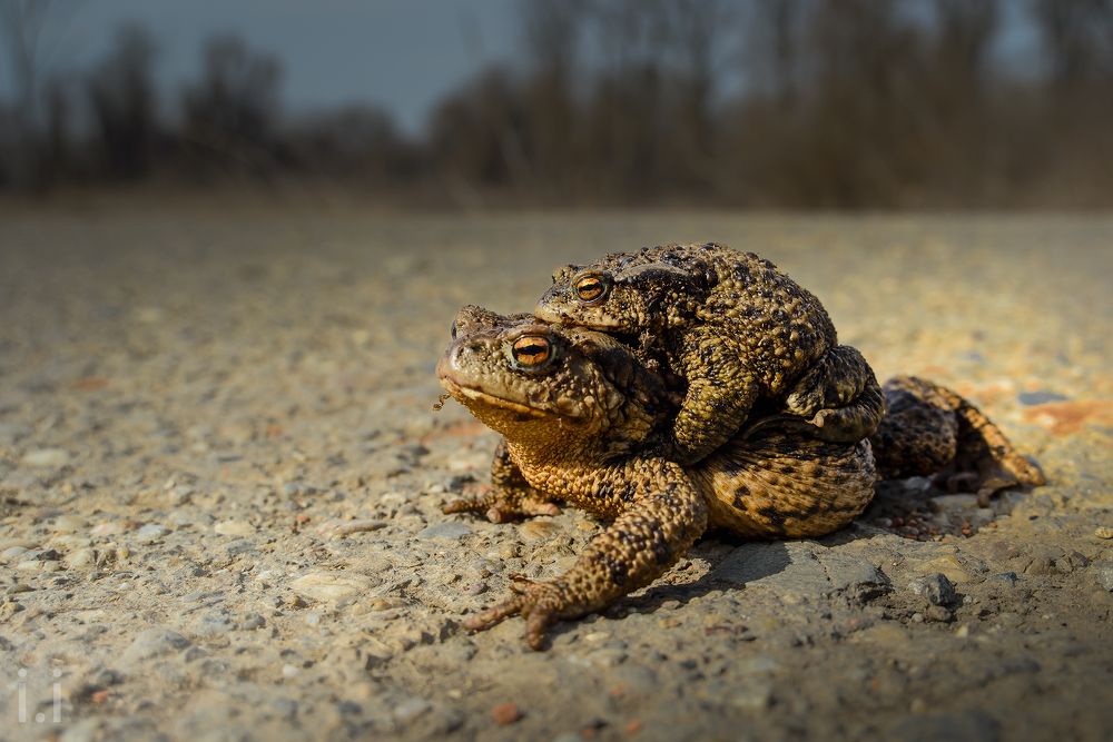 Photograph by ivan ilijevski