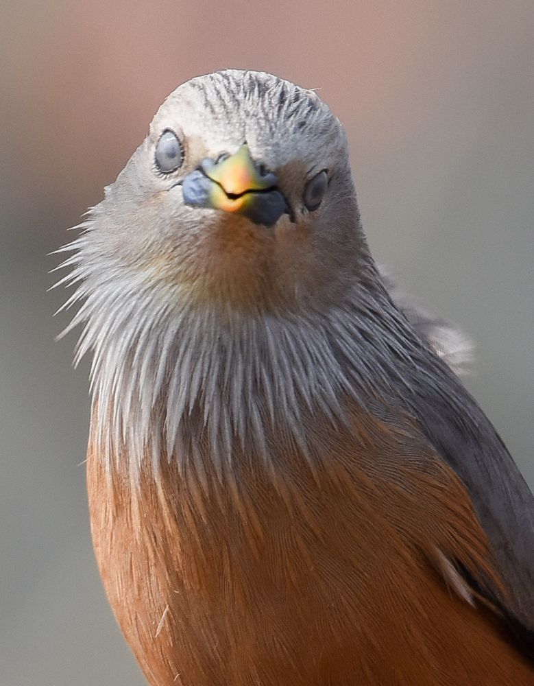 Aren't my eyes looking cute?