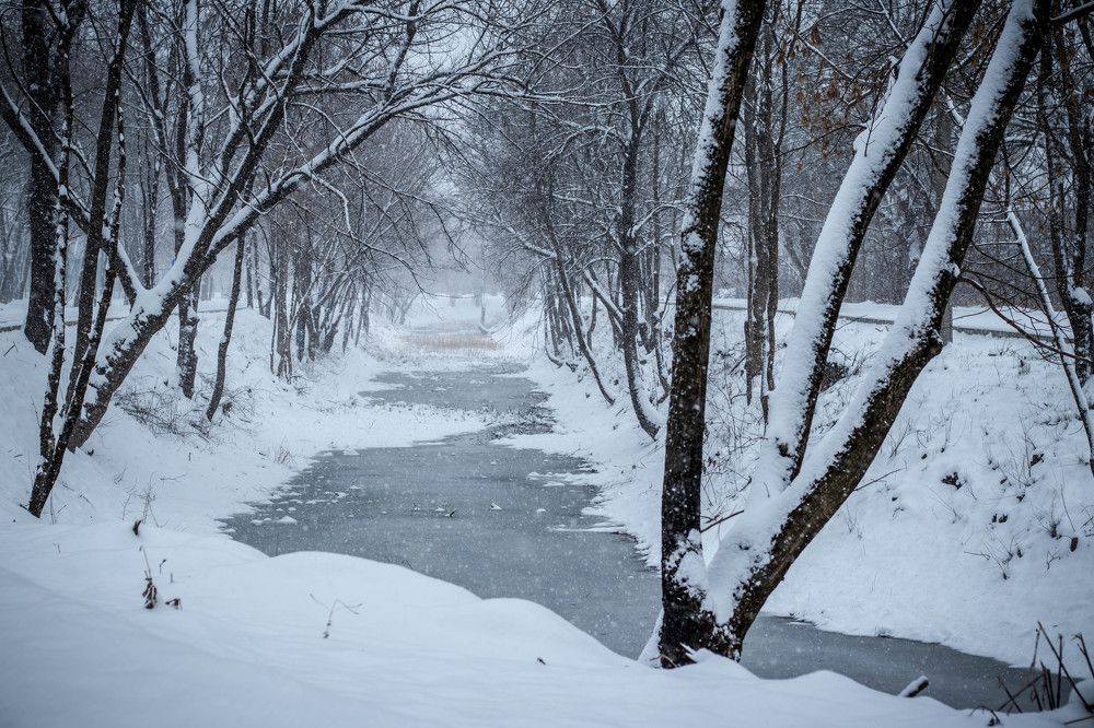 Photograph by Галина Литвинова