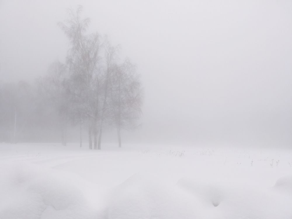 Photograph by Elena Lopatina